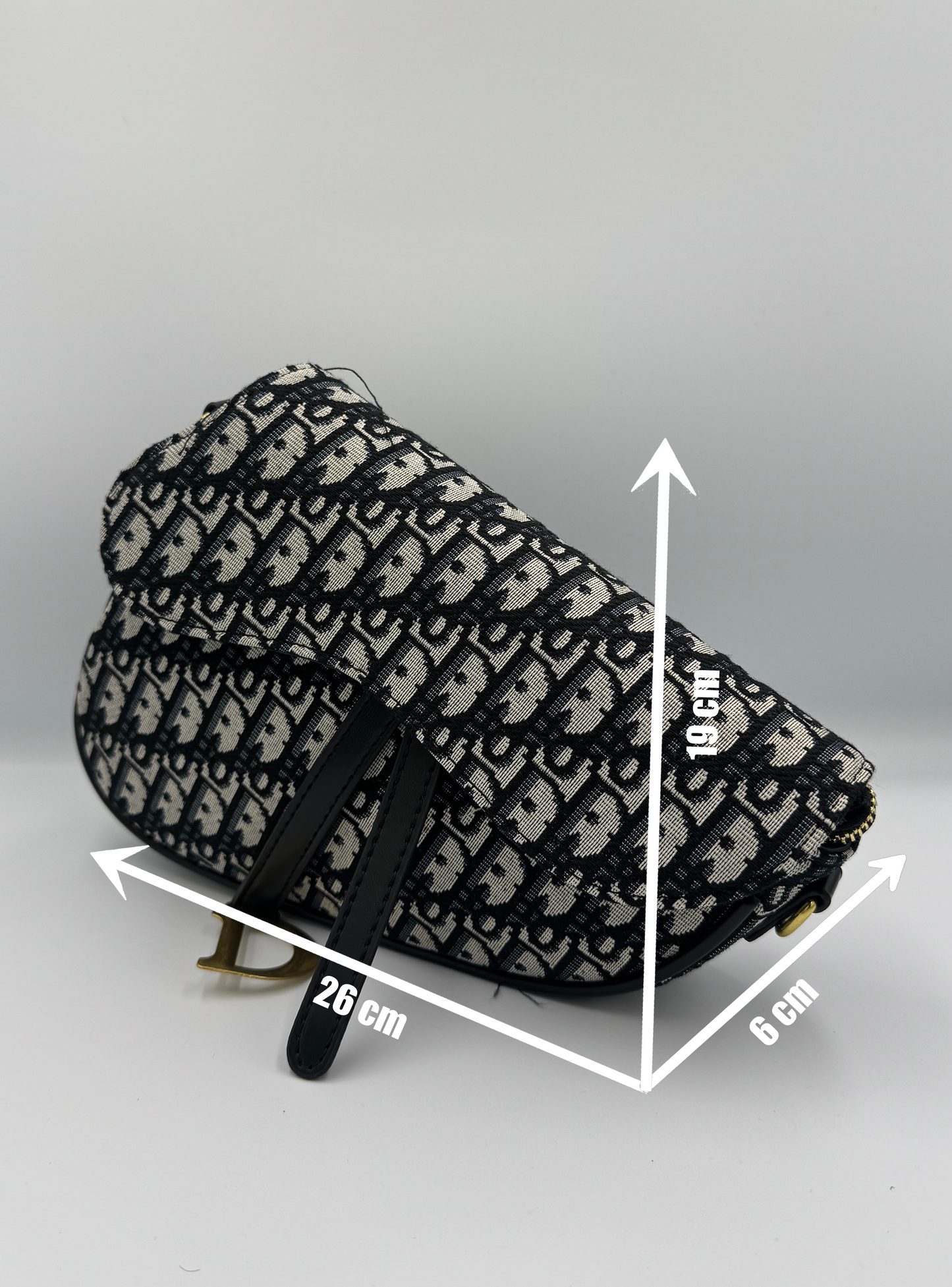 Dior Saddle Bag Monogram