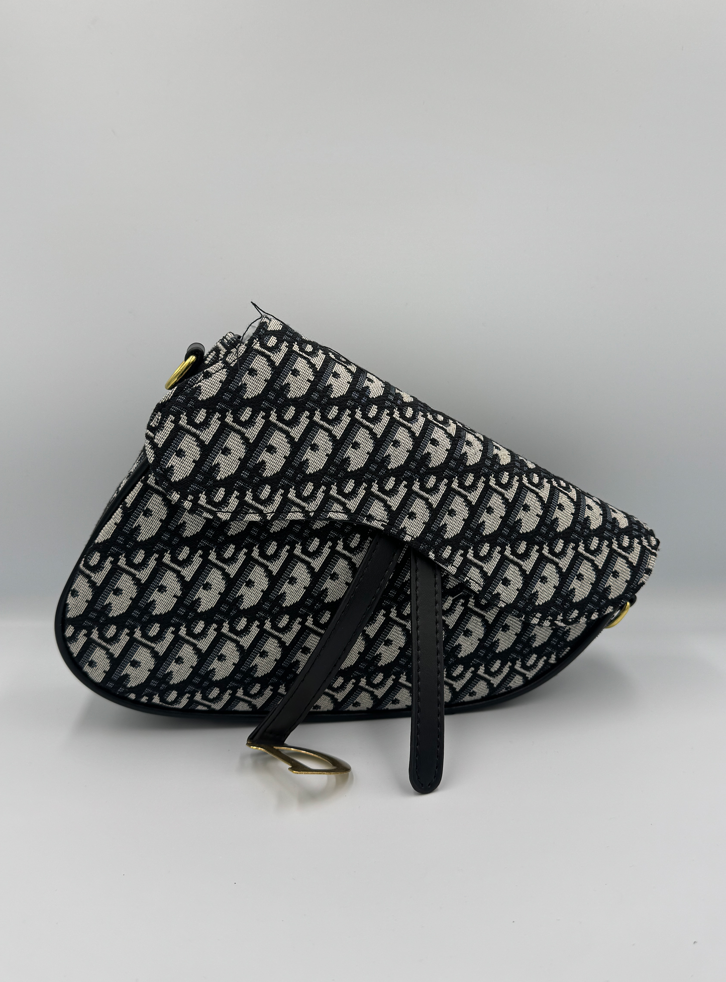 Dior Saddle Bag Monogram