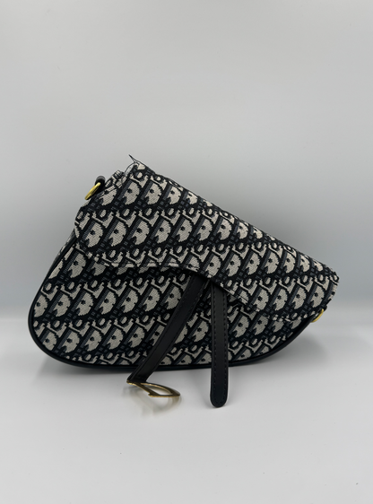 Dior Saddle Bag Monogram