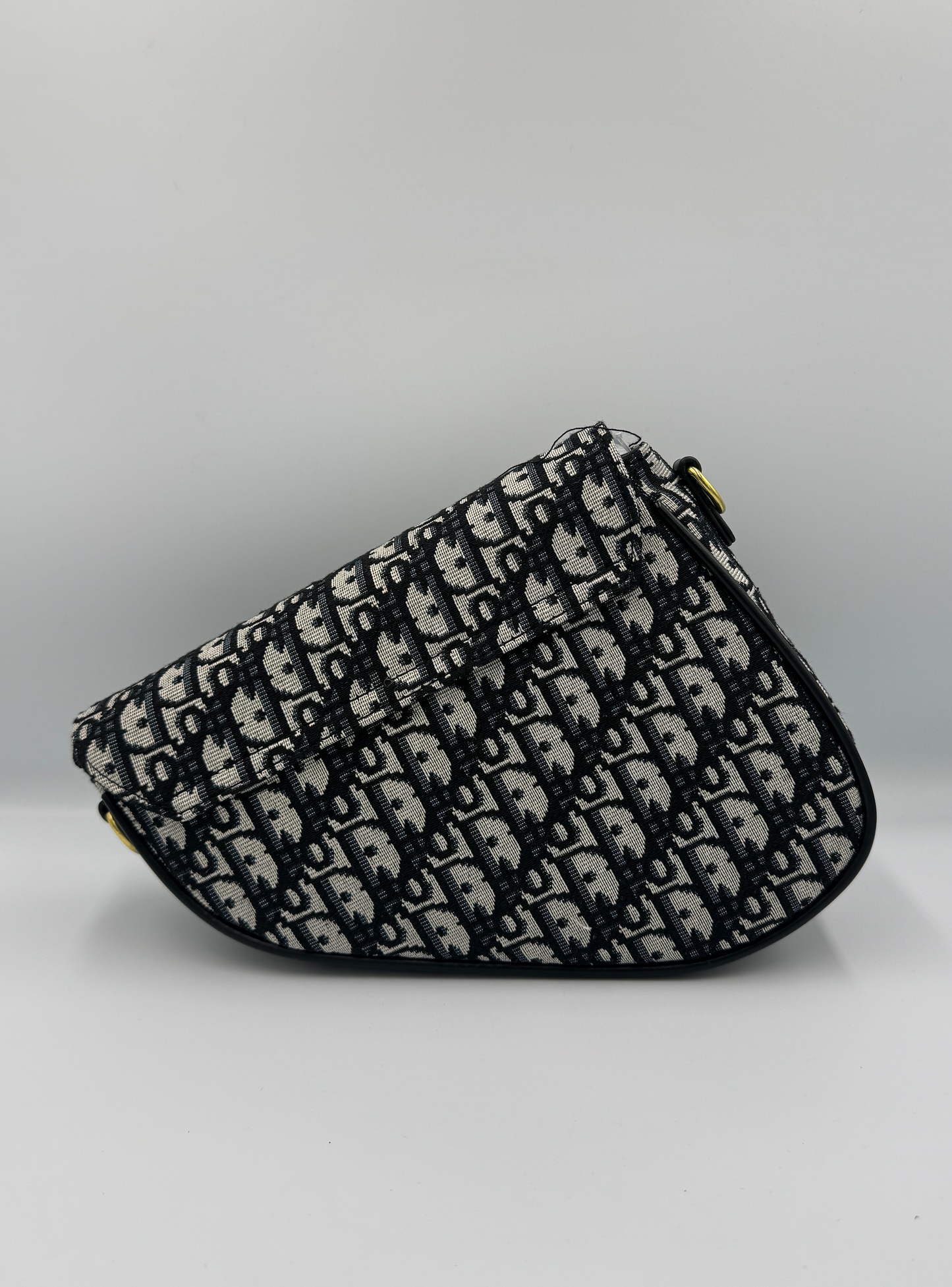 Dior Saddle Bag Monogram