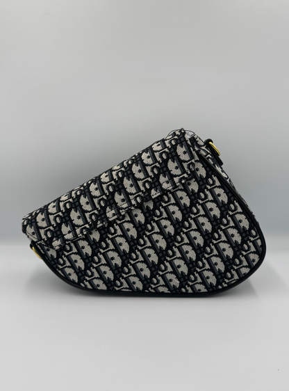 Dior Saddle Bag Monogram