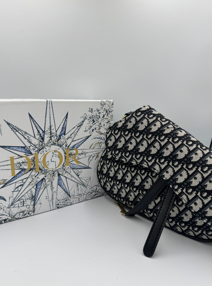 Dior Saddle Bag Monogram