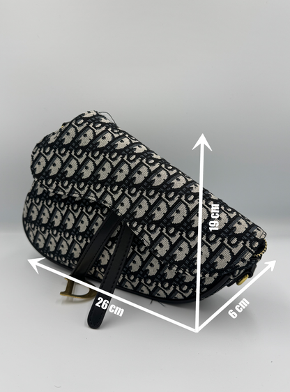 Dior Saddle Bag Monogram